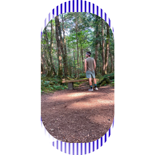 O Que Deixei na Aokigahara